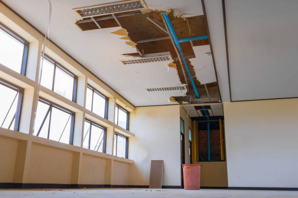 Best Professional water damage repair  in Petersburg, VA