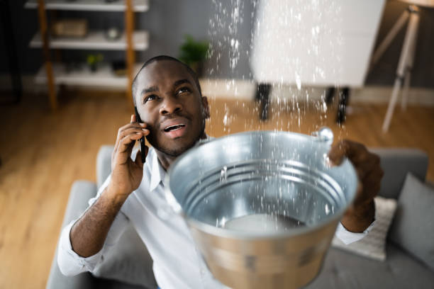 Best Sewage cleanup and water damage restoration  in Petersburg, VA