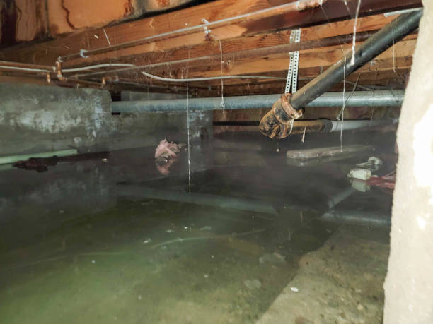 Water damage restoration experts in VA