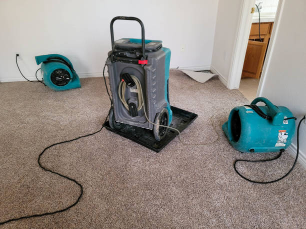 Best Fire Damage Restoration  in Petersburg, VA