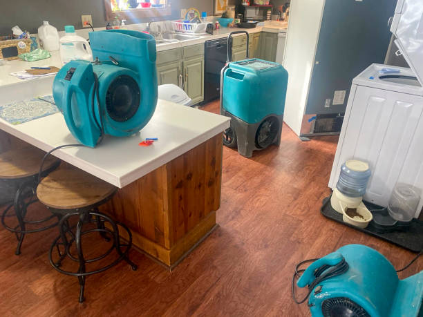 Best Water damage mitigation services  in Petersburg, VA