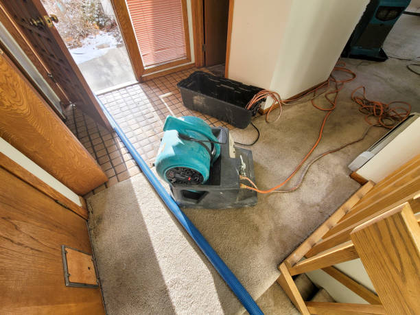 24/7 water damage repair in VA
