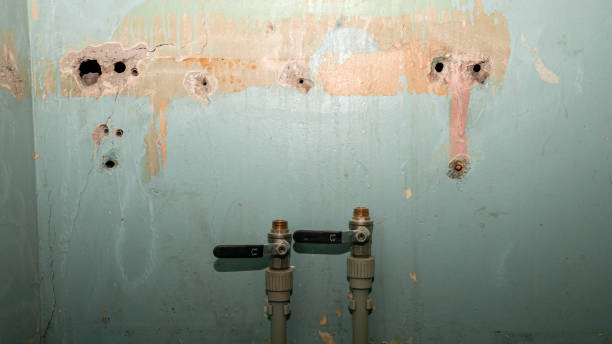 Best Water damage cleanup near me  in Petersburg, VA
