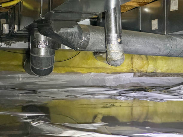 Best Flood damage cleanup  in Petersburg, VA