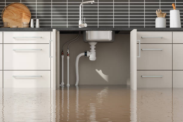 Best Professional water damage repair  in Petersburg, VA