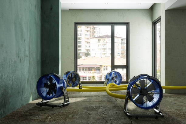 Best Commercial water damage restoration  in Petersburg, VA