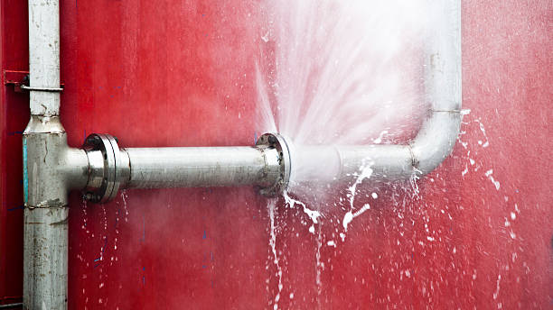 Best Mold removal after water damage  in Petersburg, VA