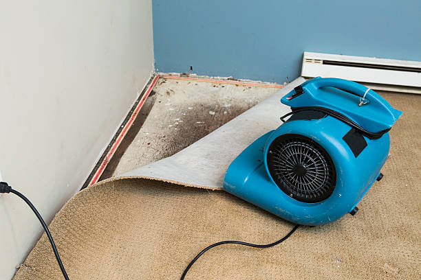 Best Emergency water damage restoration  in Petersburg, VA